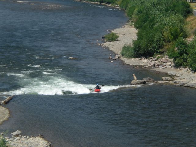 A kayaker plays on a wave near downtown Missoula