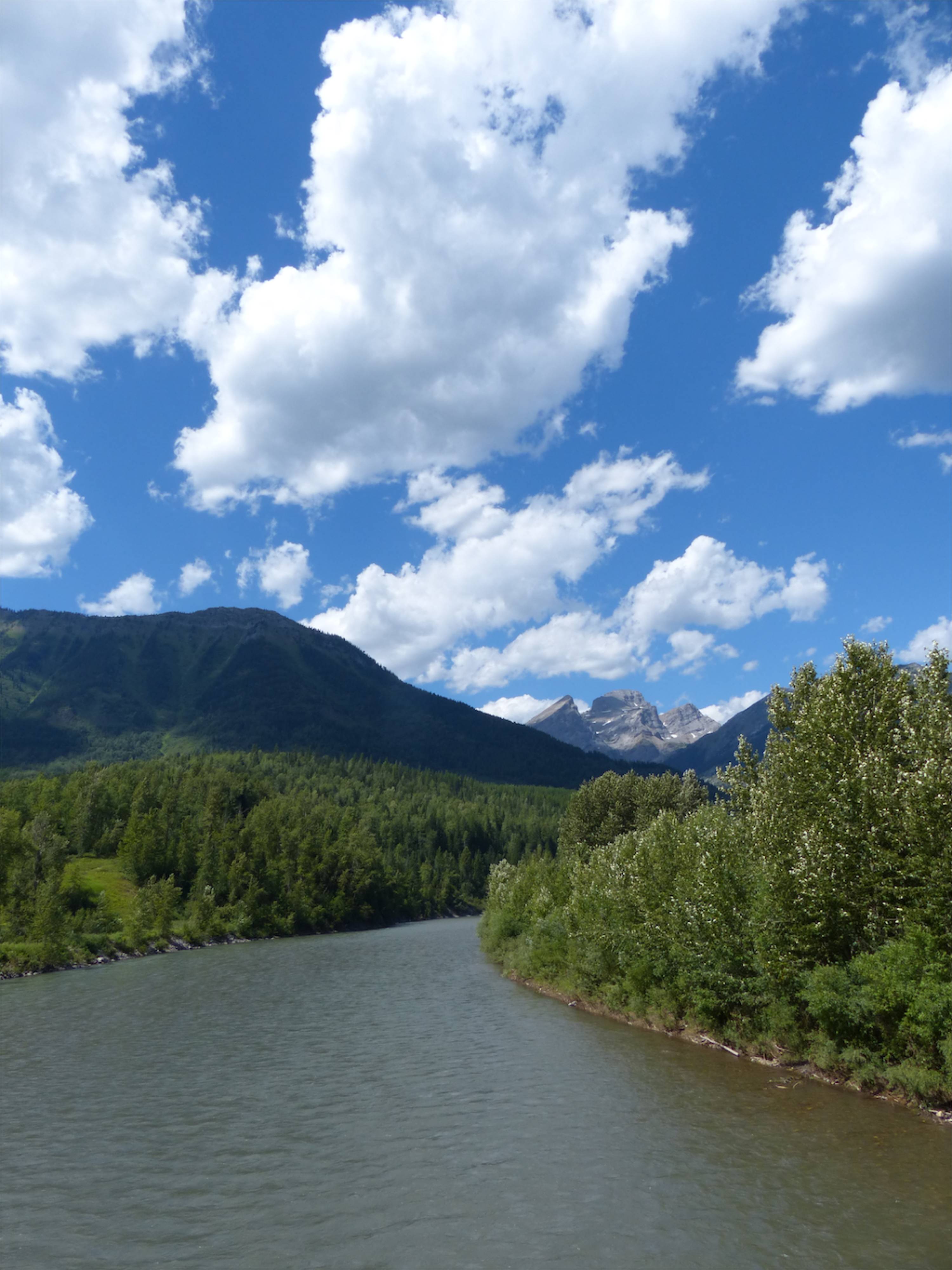 The Elk River in Fernie, British Columbia