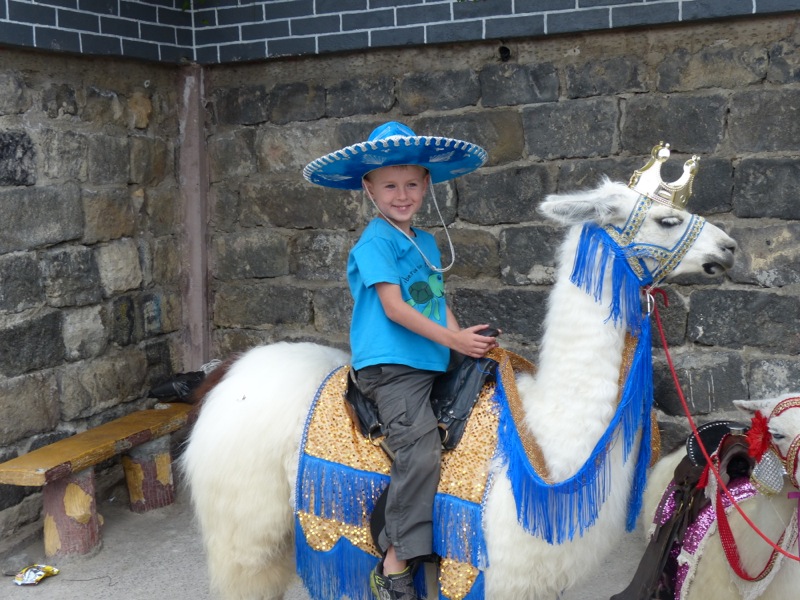 Surprisingly, Quinn agreed to pose for us on a llama.
