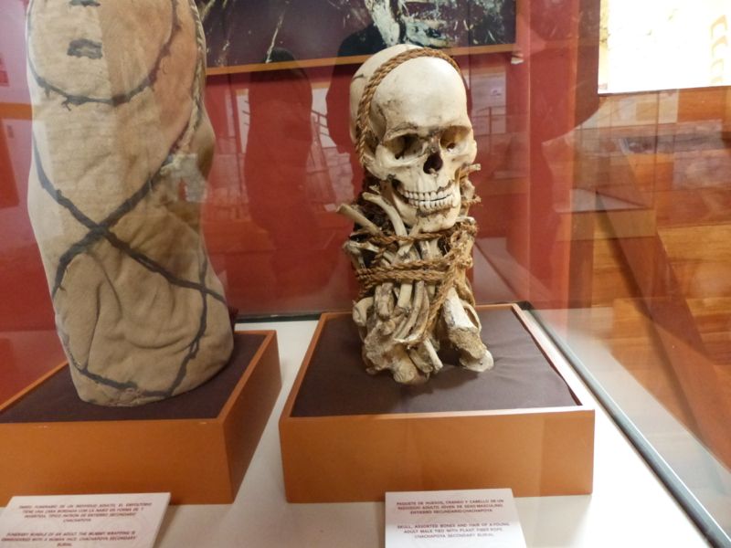 One of the many hundreds of mummies preserved at the museum.
