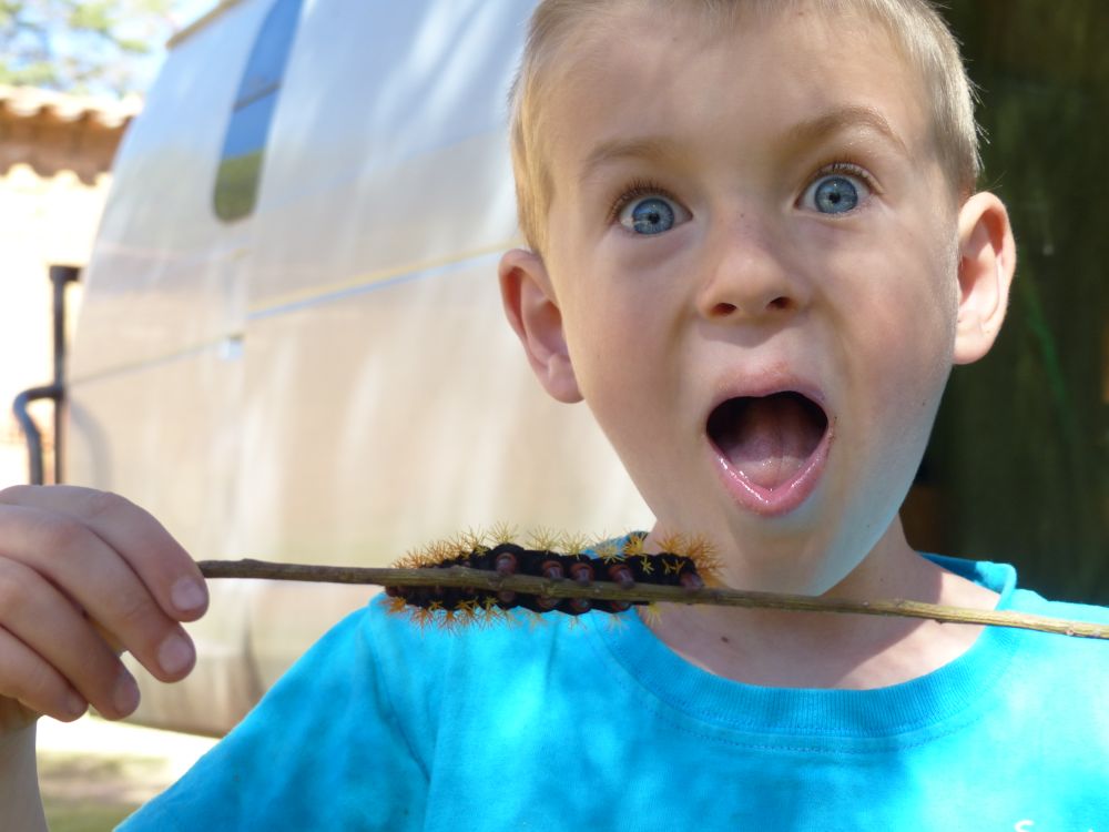 Quinn found this fuzzy caterpillar in our campground. At first I thought he was going to eat it like a brochette!