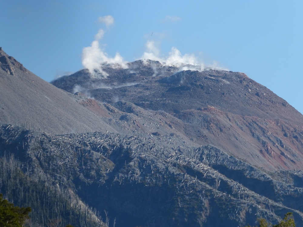 Volcan Chaitén, seen from Pumalin National Park.